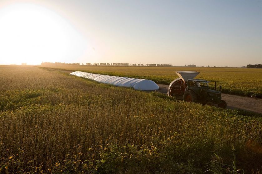 La tecnología como aliado para la agricultura sustentable
