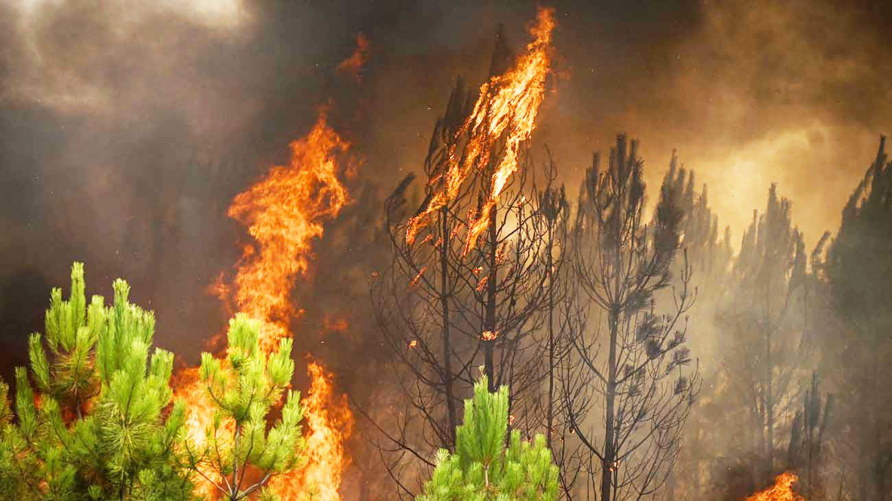 Se agravan los incendios y las sequías en gran parte de Europa