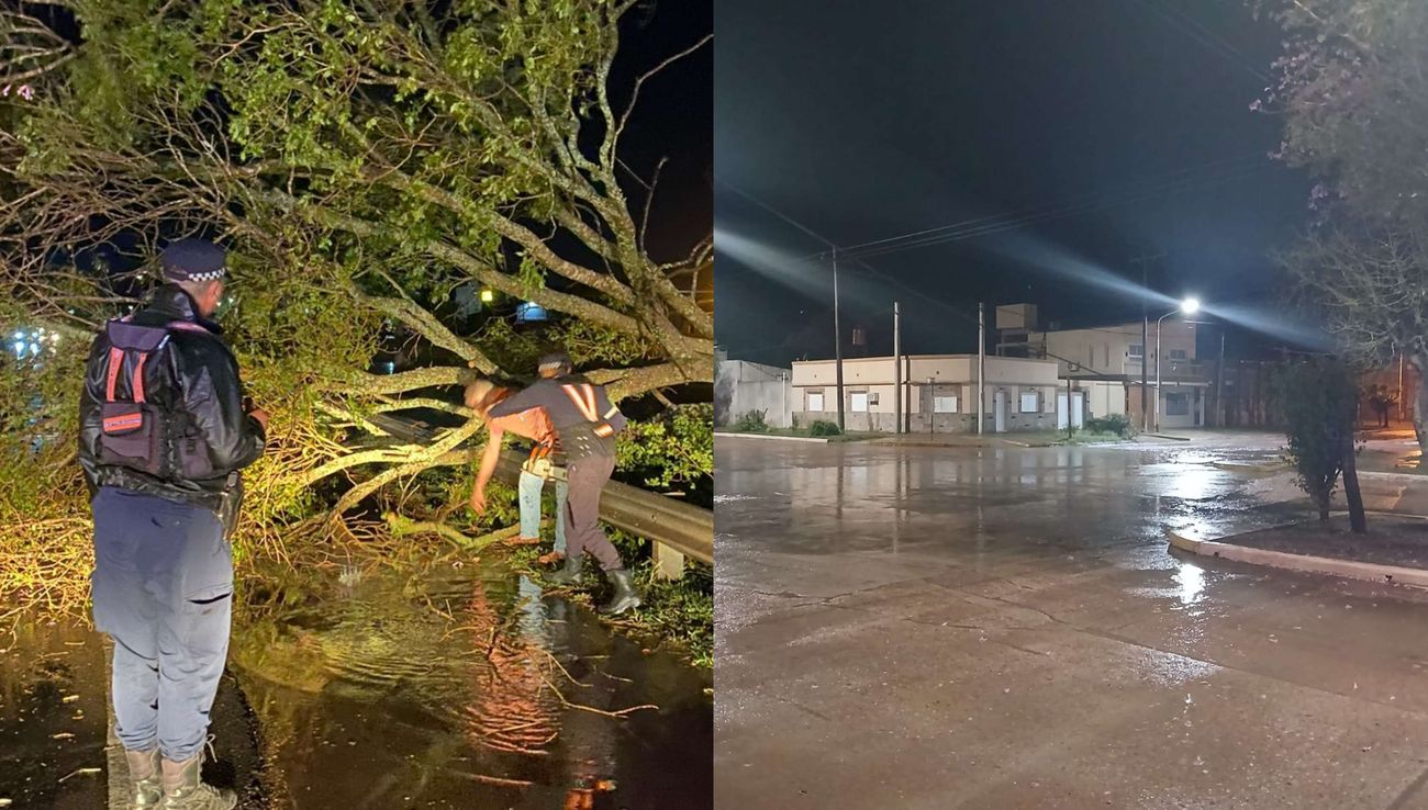Temporal en el interior del Chaco: intensas lluvias, voladuras de techos y árboles caídos