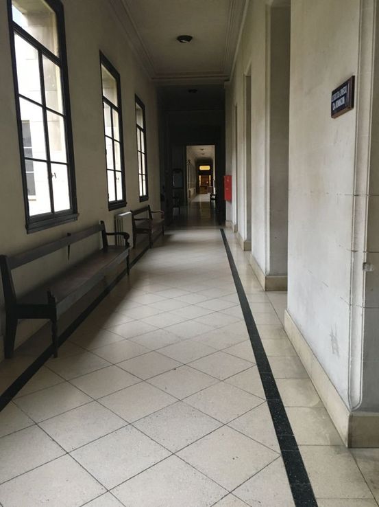 Abogados deben pedir apertura de tribunales al Poder Ejecutivo
