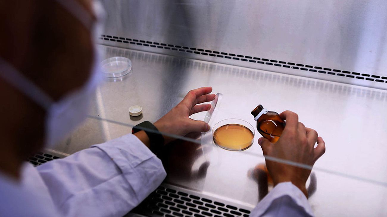 Investigadores argentinos logran transformar residuos de soja en productos nutritivos
