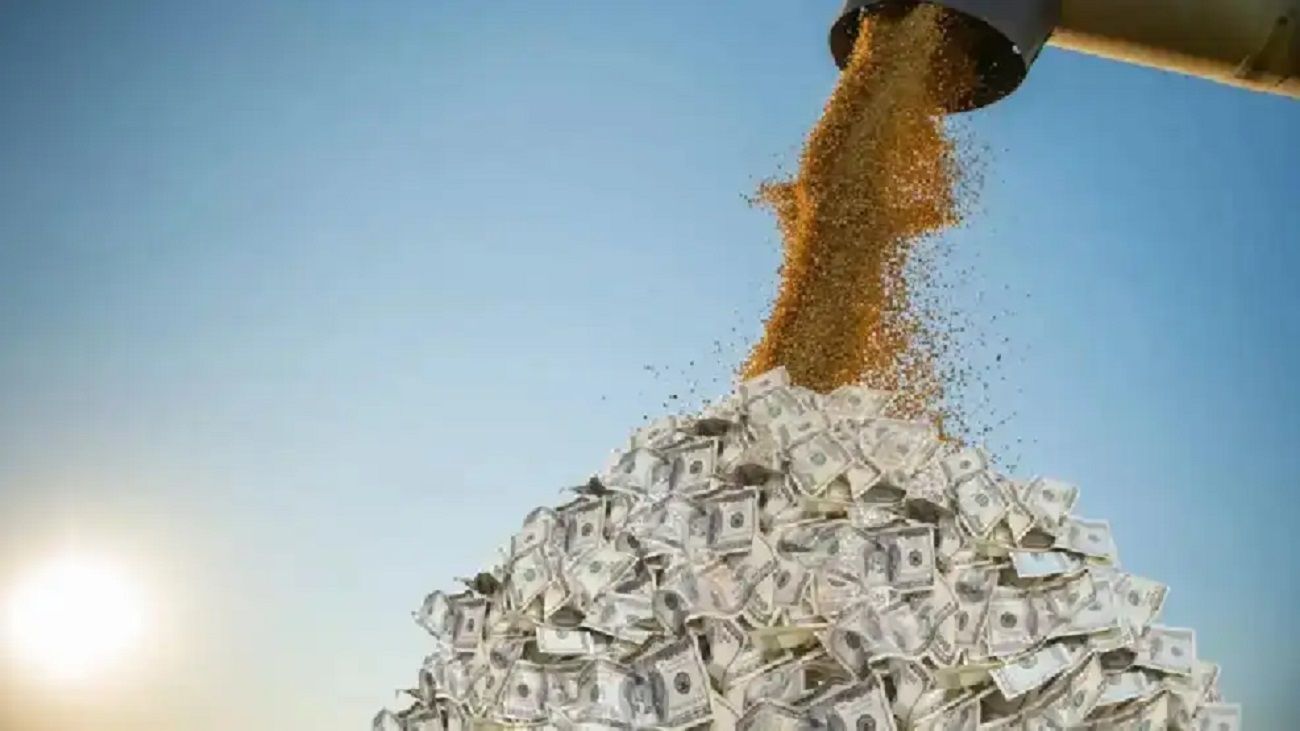 El impacto de las retenciones cero recae sobre el agro: “Empezó la flaqueza en términos de ingresos de divisas”
