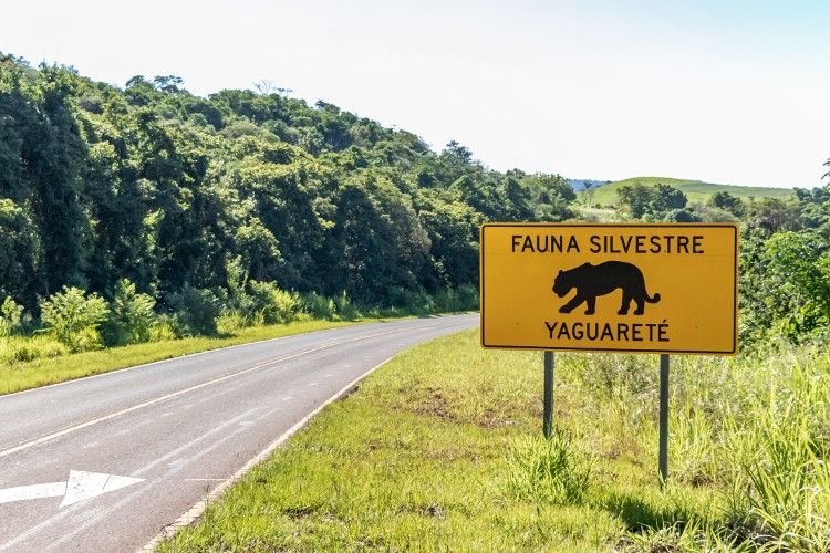 Vivir con la Tierra y no de la Tierra