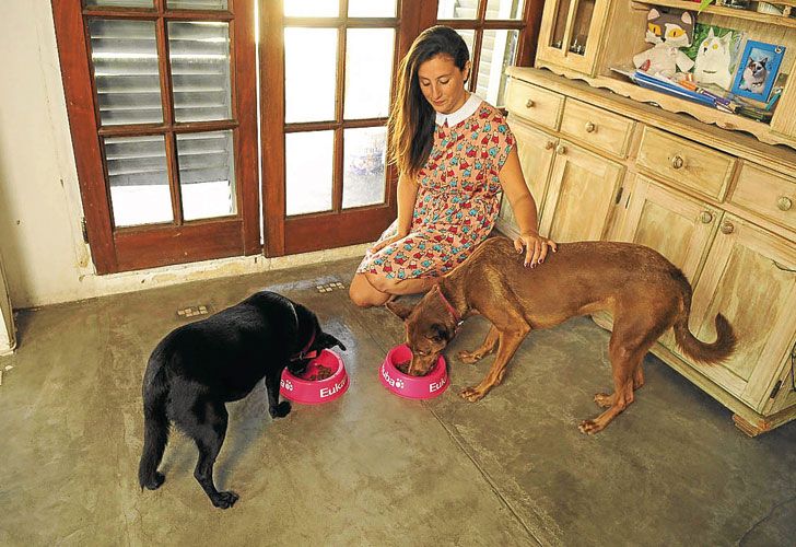 Llegó al país el servicio de ‘niñeros’ de perros y gatos