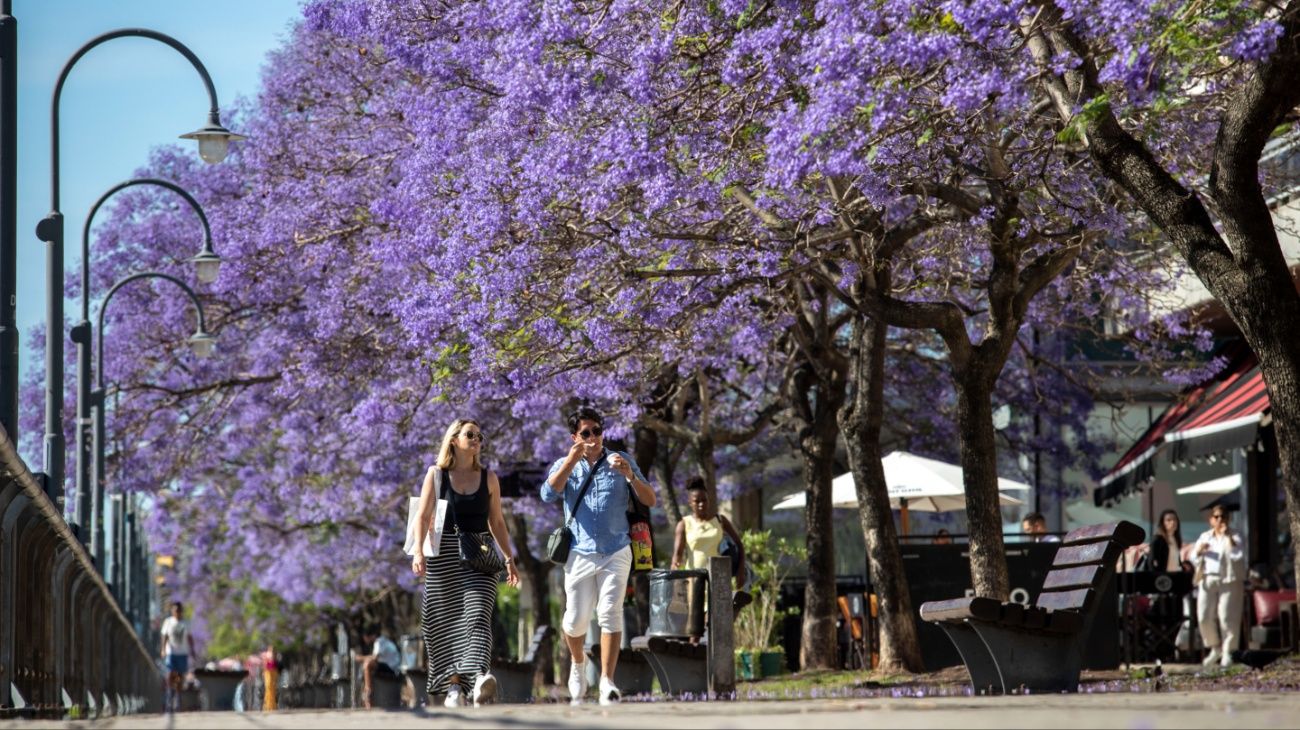 Pronóstico del tiempo: cómo estará el clima este sábado 18 de octubre