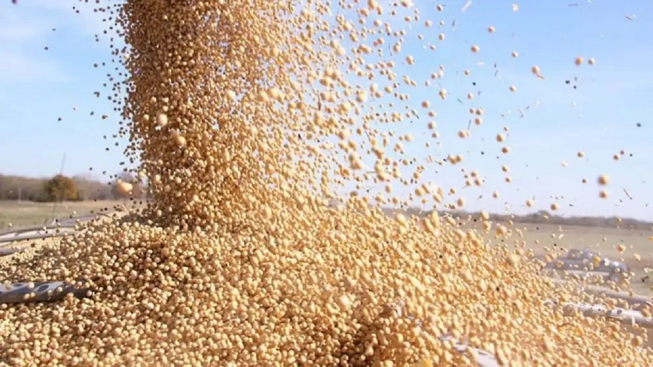 Cómo impactó el regreso de las retenciones al agro: “La soja es quizás el mercado que más se vio afectado”