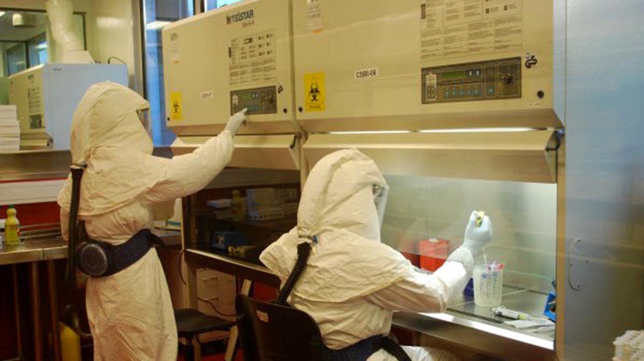 Científicos buscan desarrollar antisuero contra el hantavirus