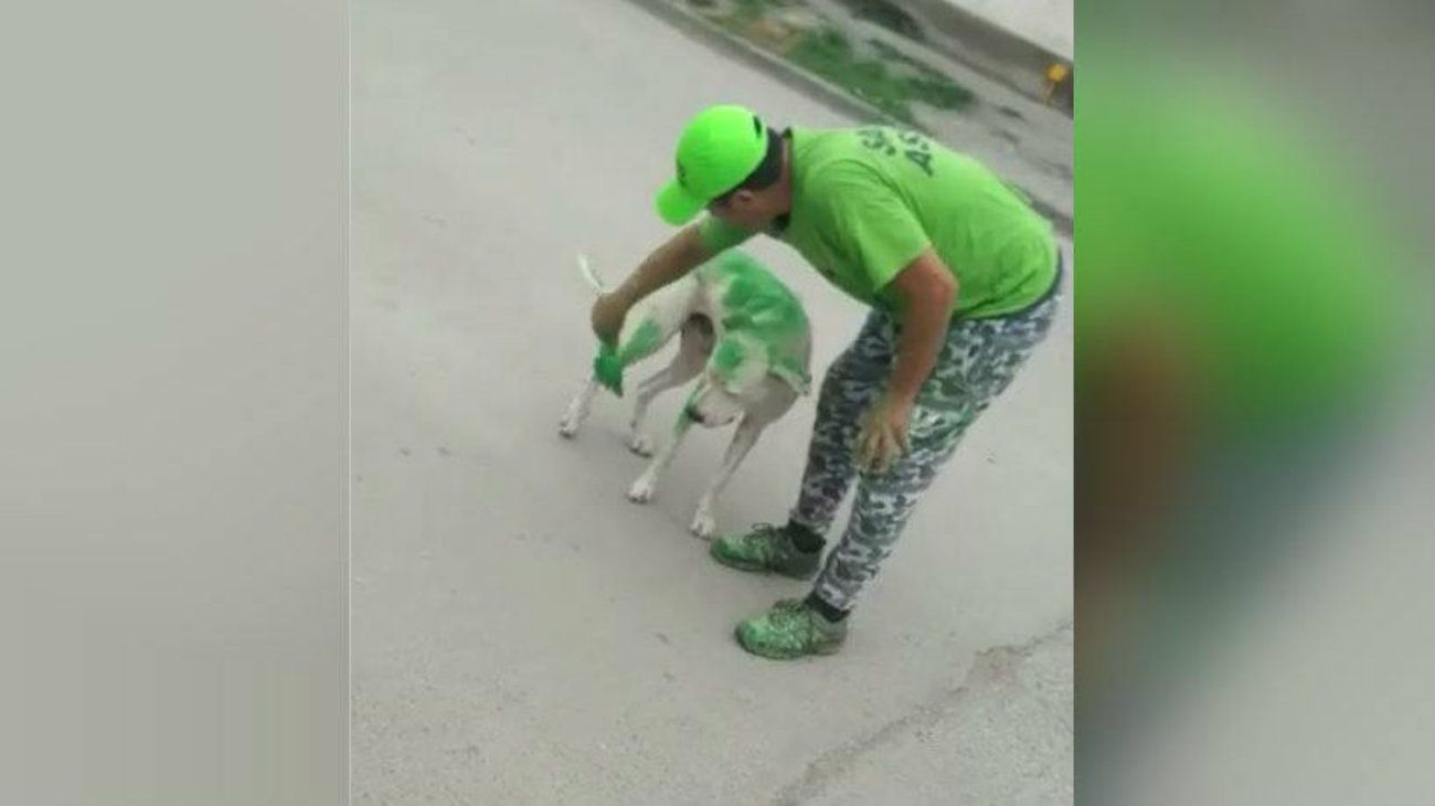 Militantes de un partido en Tucumán pintaron a un perro de verde