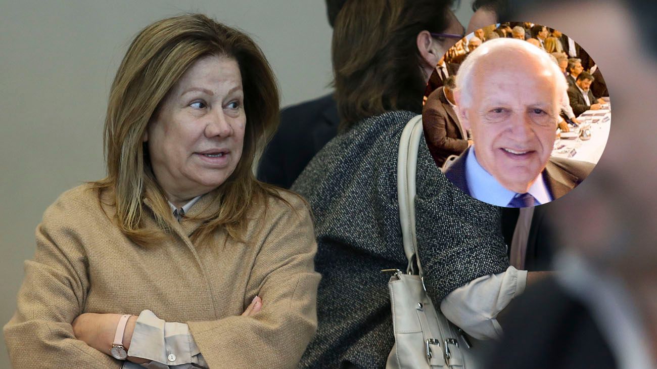 Para Graciela Camaño, Lavagna es "perfectamente competitivo" como candidato a presidente