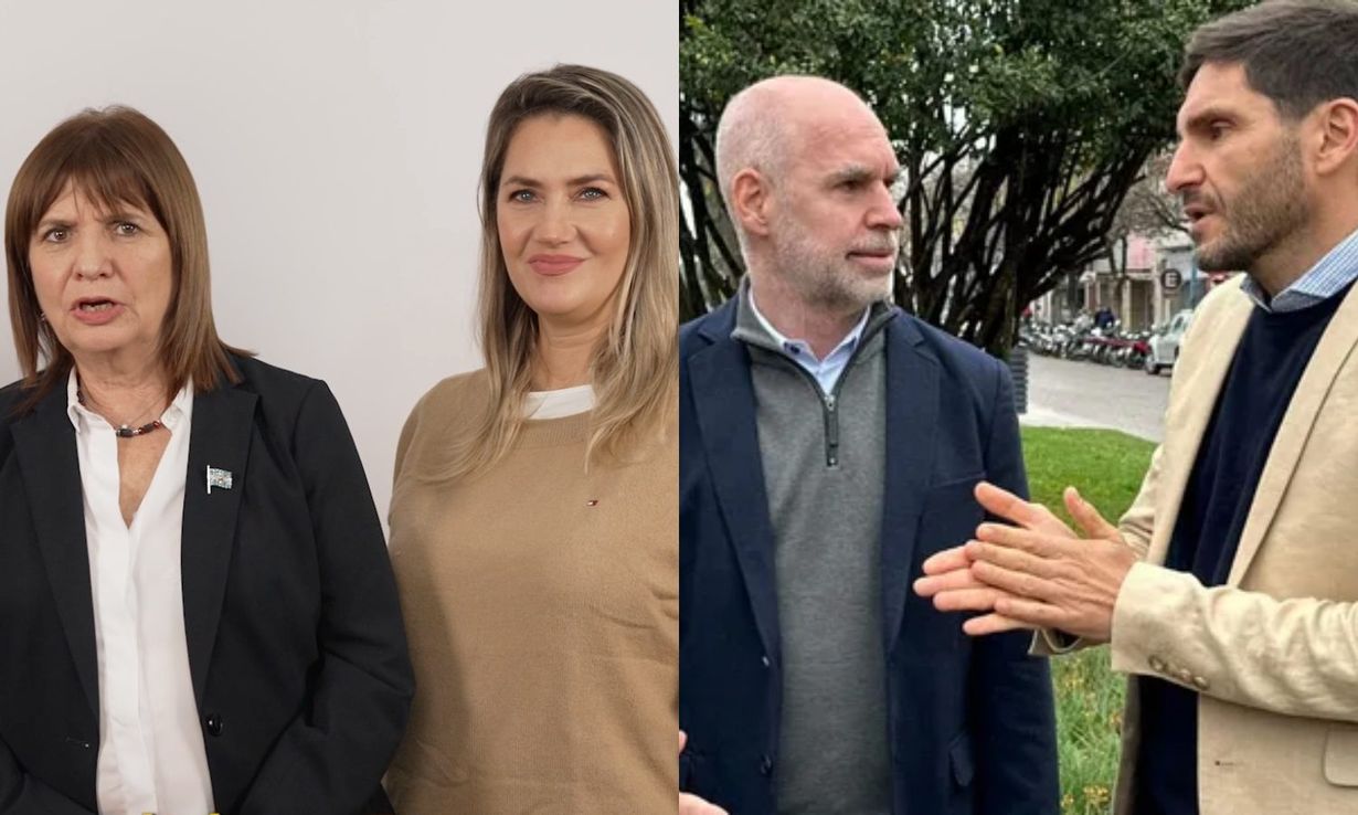 Mariano D´Arrigo: “El apoyo de Bullrich para Losada fue un salvavidas de plomo”