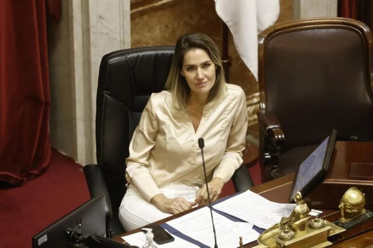 Losada: “La embestida contra la Justicia va a continuar mientras Cristina tenga causas”