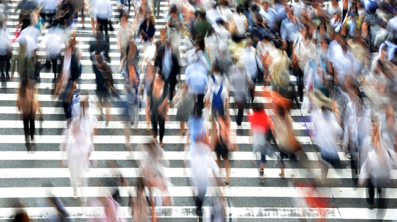 Ciencias sociales, ¿para qué?