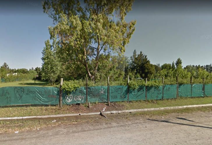 ¿Un león anda suelto en La Plata y Berazategui?