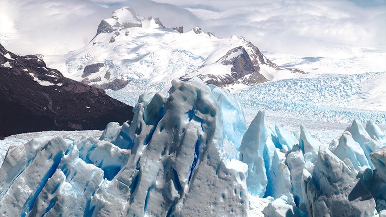 En el Día Mundial de la Ecología, conocé 25 experiencias inolvidables que presenta “La Ruta Natural”