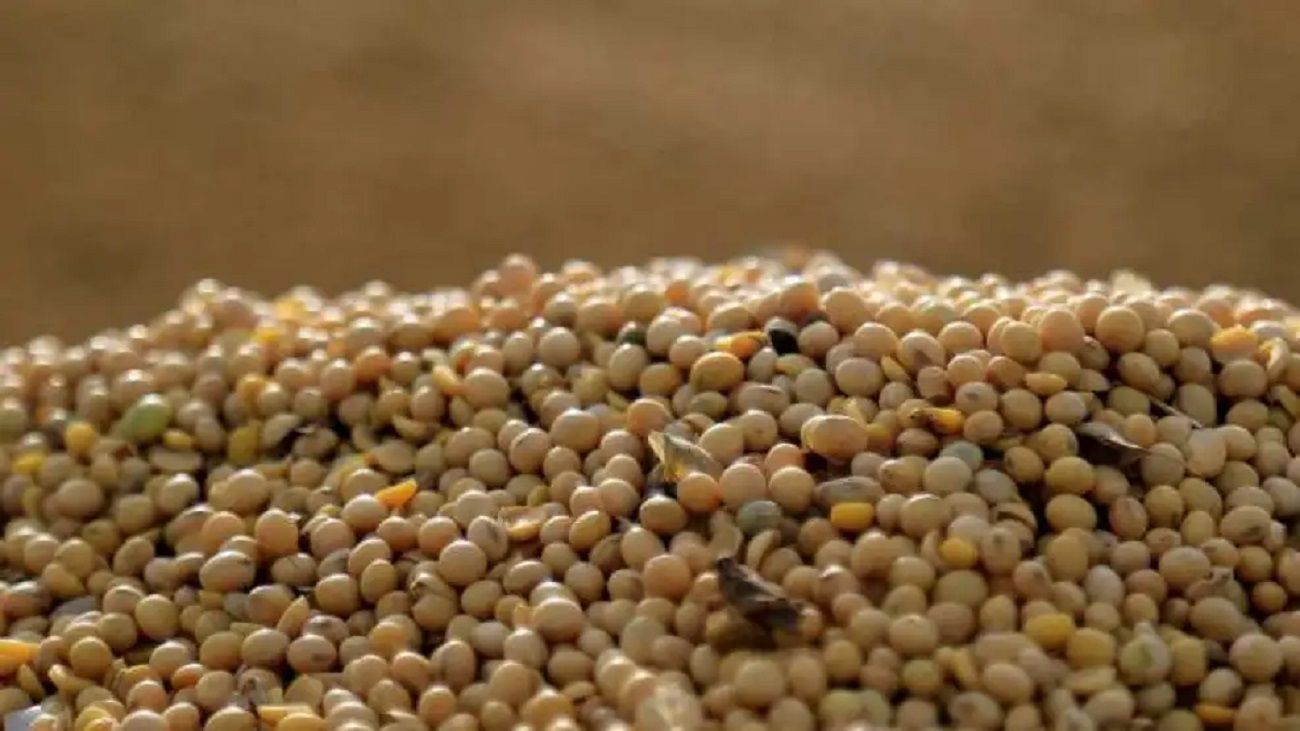Baja de retenciones: cómo impactará la medida en los productores