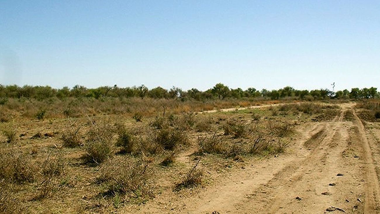 San Luis: multan a una empresa con $18 millones por desmonte ilegal