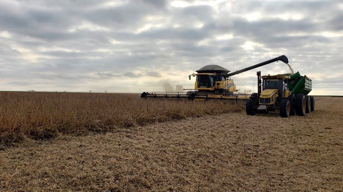 Sector Agro: hay pronósticos de una primera quincena de julio seca