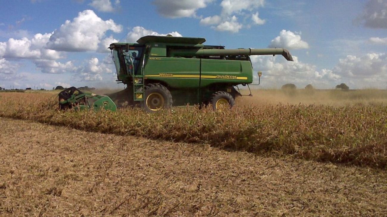 La soja y el trigo caen por las expectativas de lluvias en América del Sur