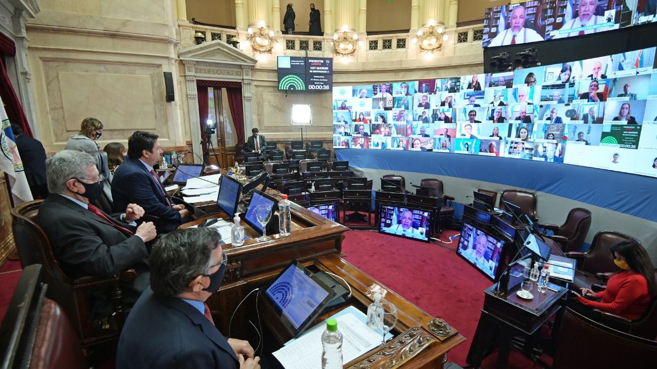 Vicentin: la oposición acusó a Cristina de cercenar a los senadores