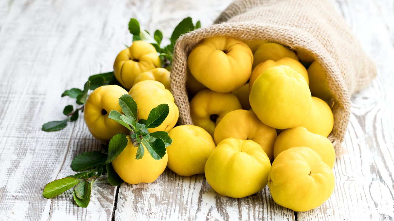 Membrillos: beneficios nutricionales y cómo elegirlos para hacer dulces