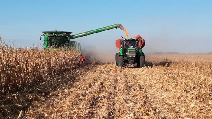 Envían a juicio a socios de Marca Líquida por defraudar a inversores agropecuarios