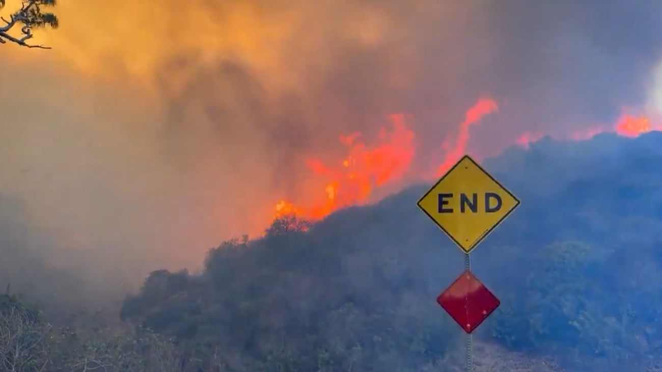 Feroz incendio forestal en Los Ángeles: 1200 hectáreas afectadas y 30 mil evacuados
