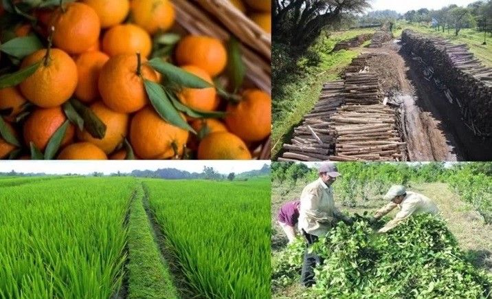 NEA 2025: reactivación desigual, consumo tensionado y expectativas moderadas para 2026