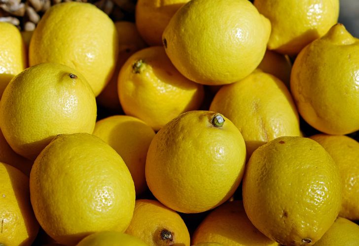 Los limones argentinos vuelven a EE.UU. después de 17 años