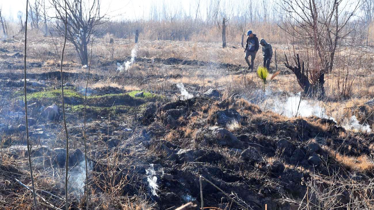 Mendoza: aseguran que la ‘tierra humeante’ era turba encendida