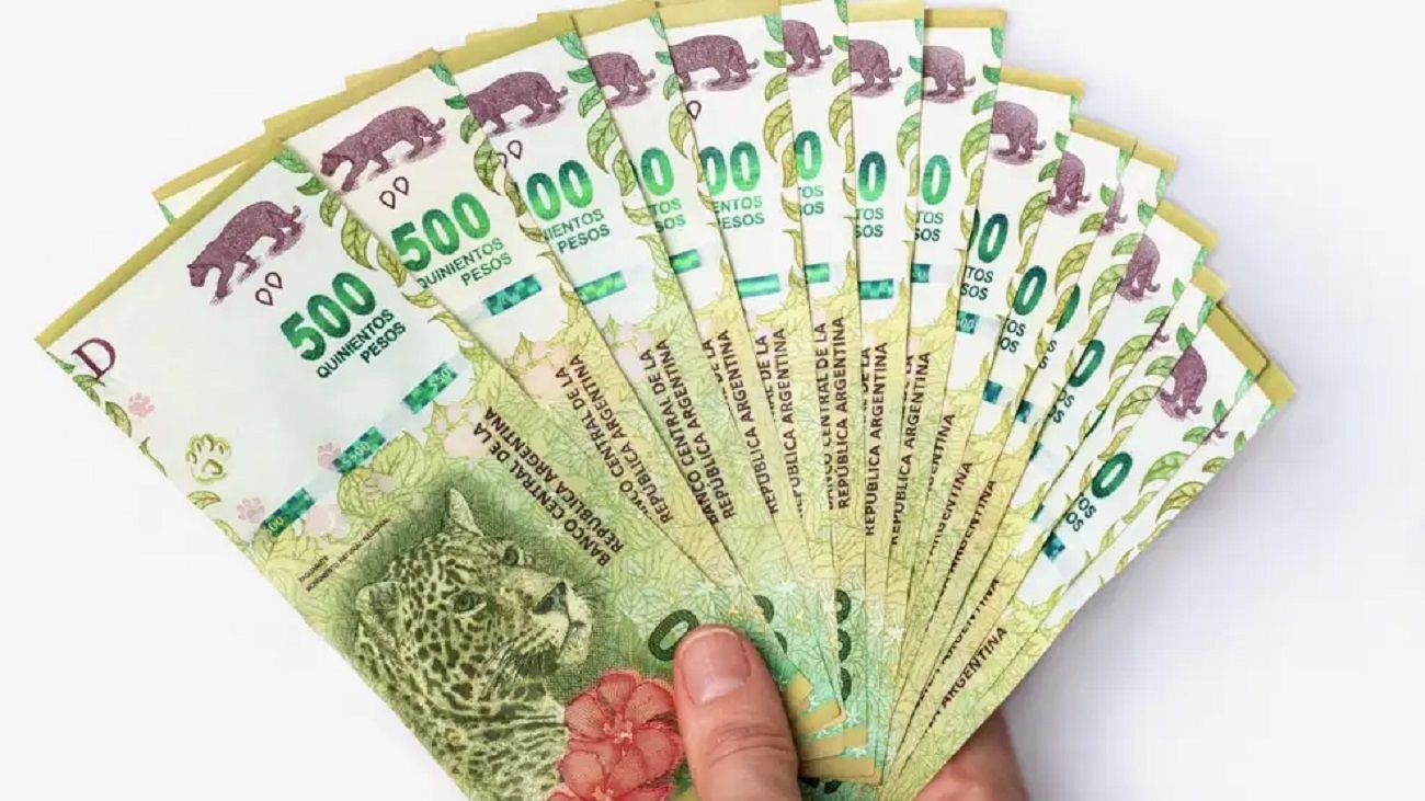 Recuperación económica: “Se va a reactivar el ahorro, hoy el peso en el bolsillo no quema"
