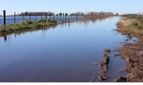 Inundaciones en PBA: 3 millones de hectáreas afectadas, según informe de CARBAP