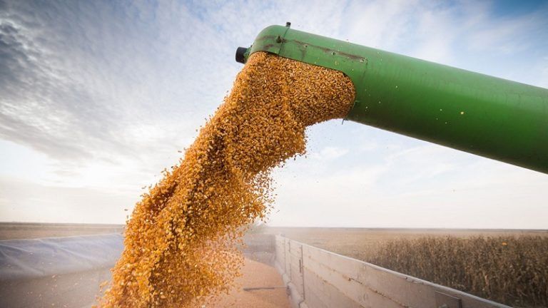 Necesitamos agregar valor a las exportaciones de alimentos