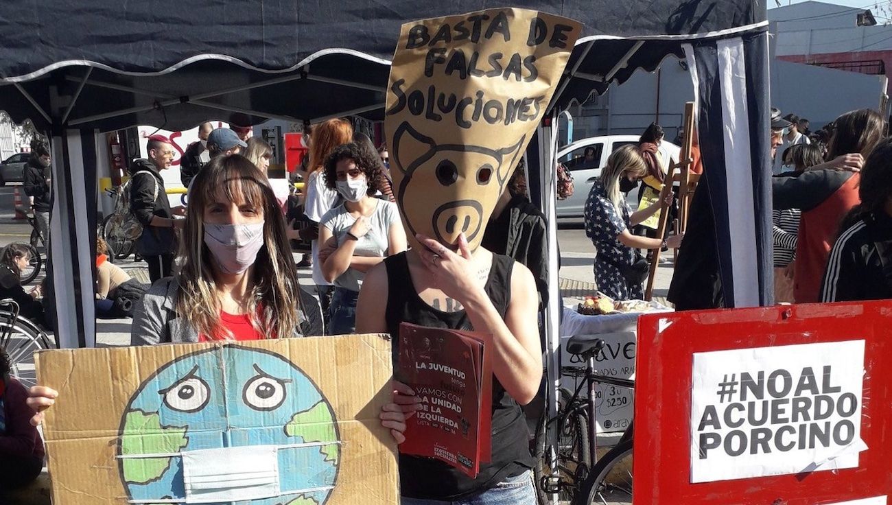Protestan en la Embajada de China contra el acuerdo para instalar granjas porcinas