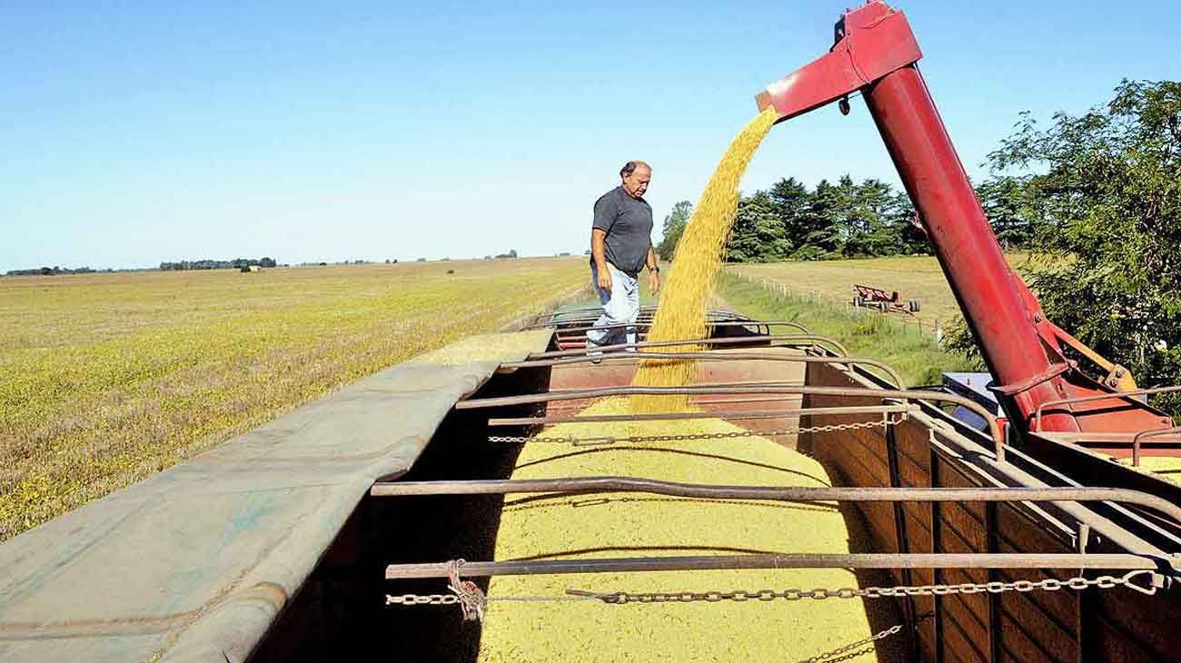 El campo estima que habrá más subas de retenciones