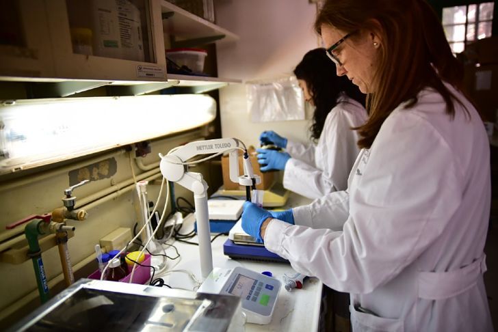 Mujeres y agronomía: el tránsito entre la academia y la actividad productiva