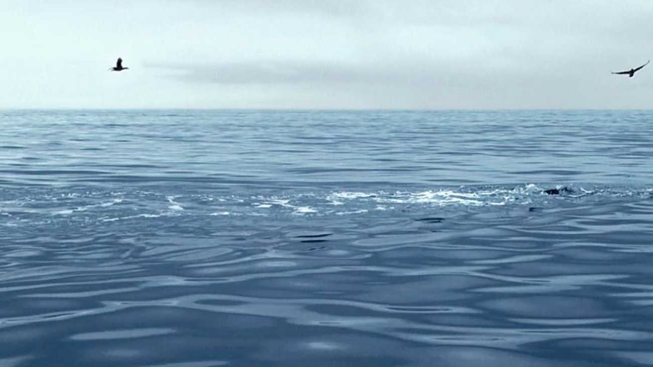 Un arriesgado rescate en el mar que nos mantuvo en vilo