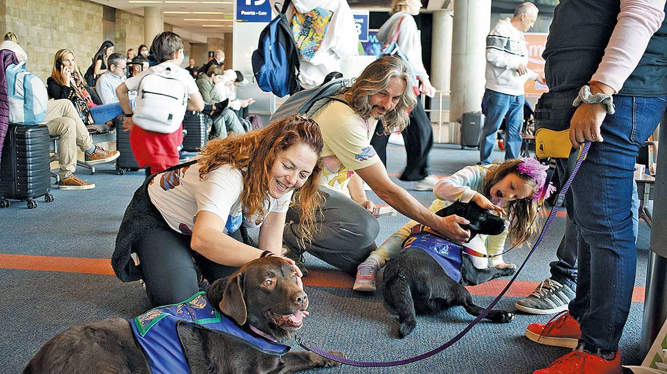 Para ayudar a reducir el estrés previo a volar, llevaron perros entrenados a los aeropuertos