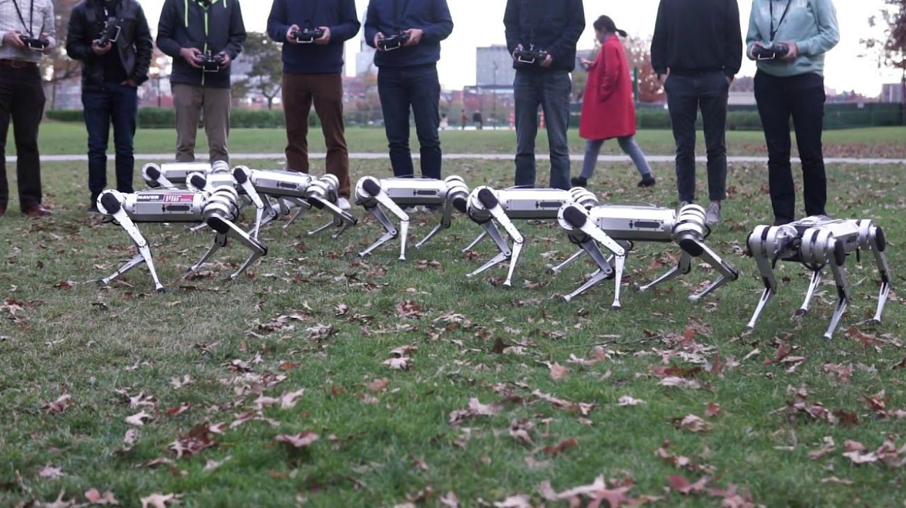 Nueve robots juegan, "se divierten" y hacen piruetas en el pasto