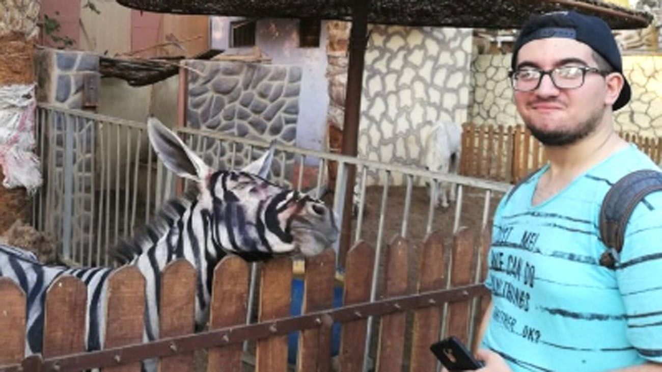 Acusan a un zoo de Egipto de pintar a un burro para que parezca una cebra
