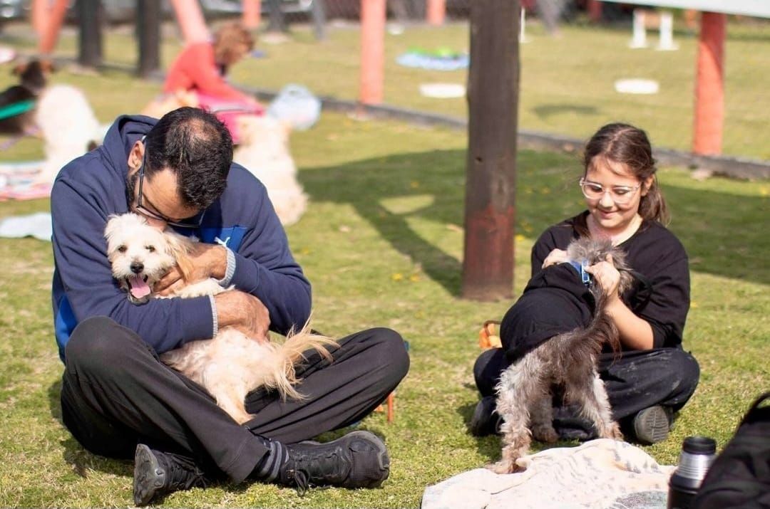 Día Mundial del Perro Adoptado: cómo la adopción responsable transforma la vida de perros y familias