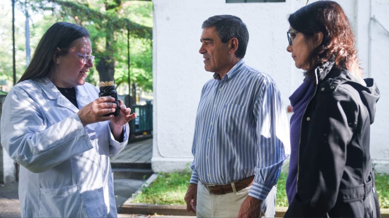Al dengue lo prevenimos entre todos