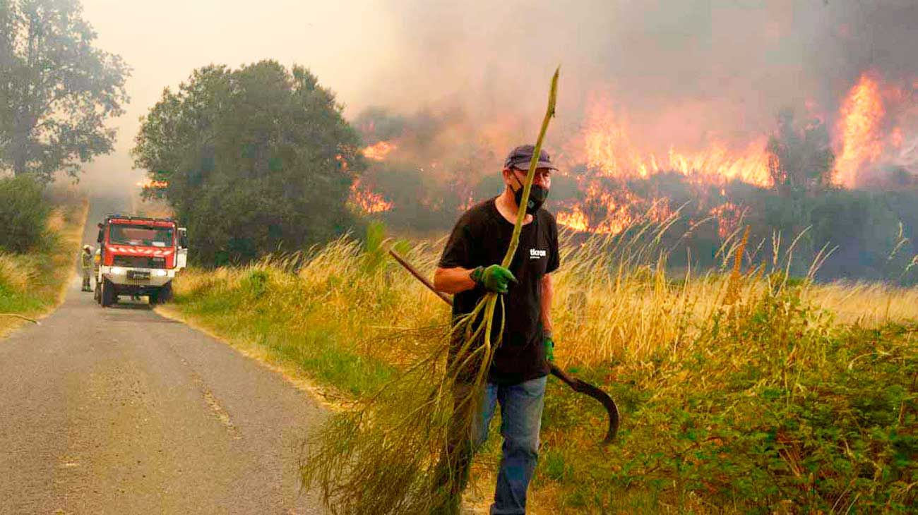 España, agobiada por el calor y arrasada por los incendios