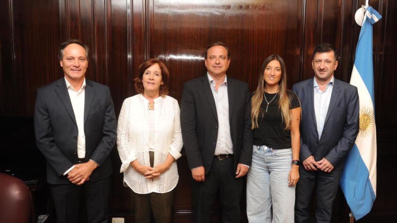 Ruptura del Frente de Todos en el Senado: cuatro legisladores armaron un nuevo bloque