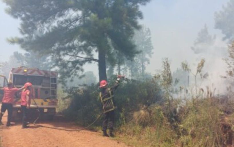 Misiones: un incendio de malezas afectó unas 10 hectáreas en Loreto