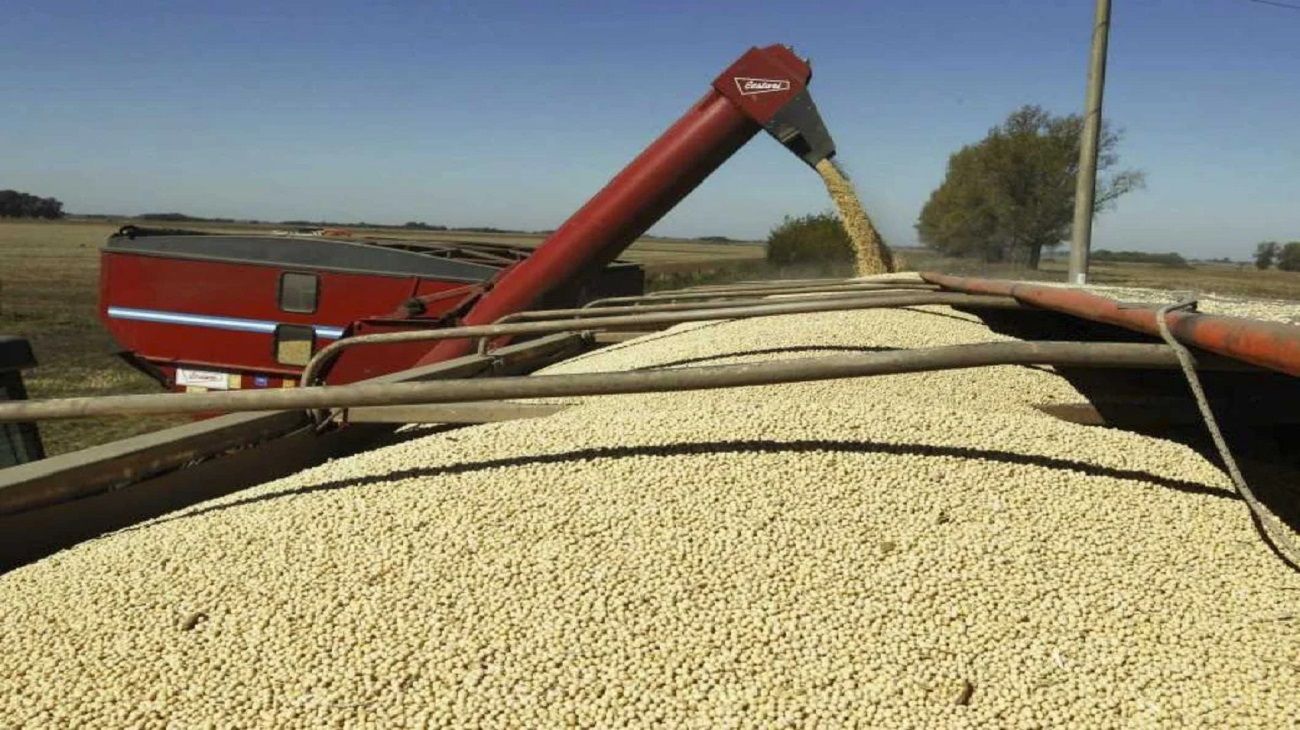 “El mundo ve al campo argentino como un potencial a pesar de las ineficiencias estructurales del país”