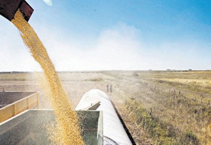 Asia cancela embarques de harina de soja de Argentina