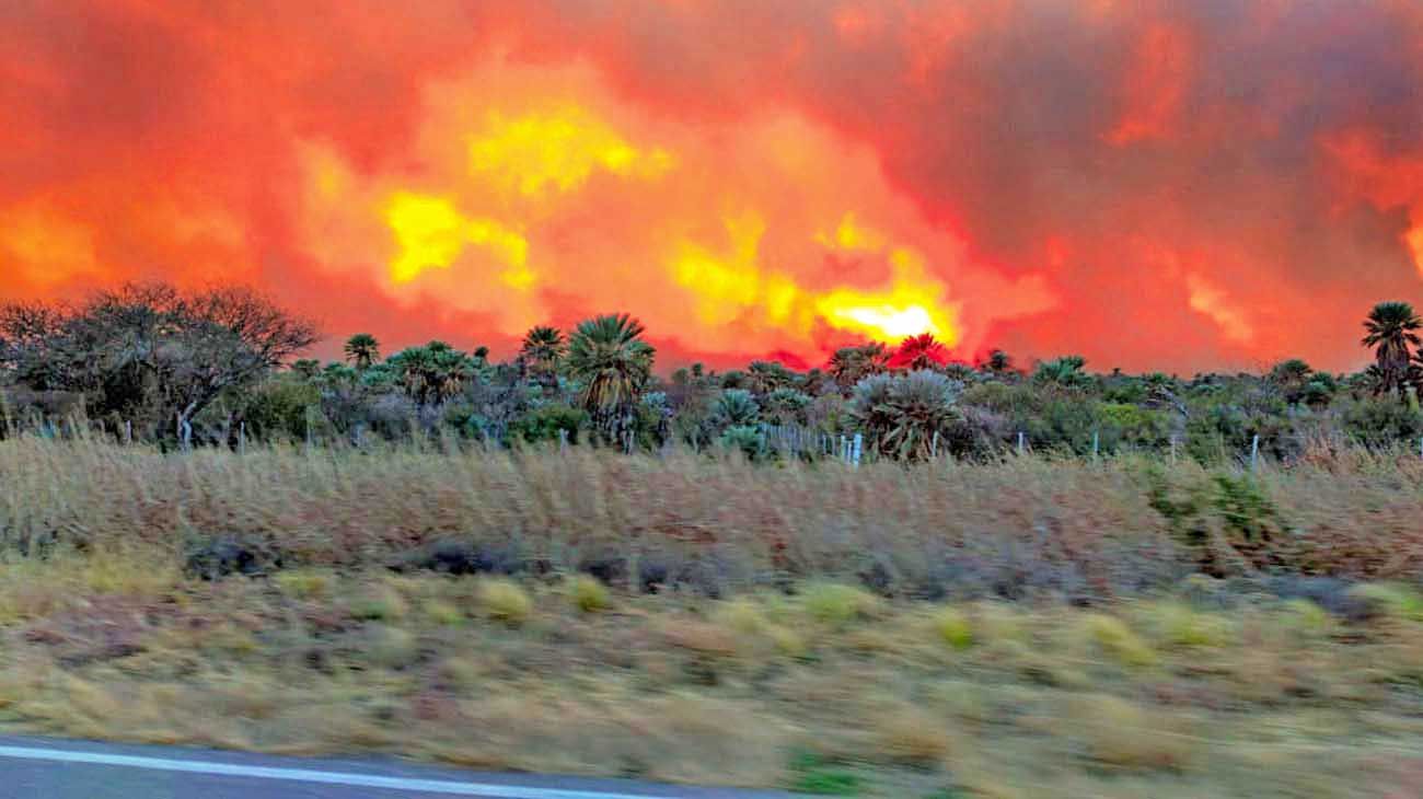 La agenda verde creció durante la cuarentena