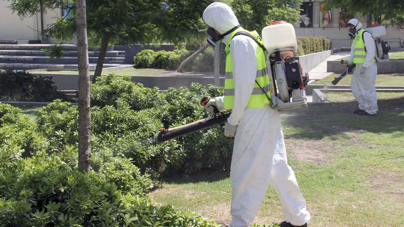 Un estudio nacional determinó que el 25% de los habitantes del AMBA ya tuvo dengue