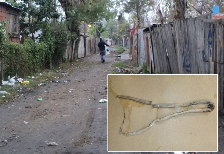 En la villa donde se rodó "El Puntero" denuncian epidemia de parásitos