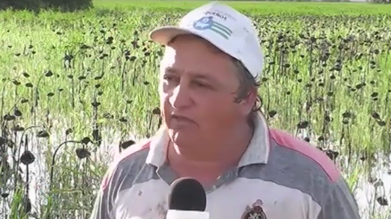 El relato desesperado de un productor chaqueño inundado